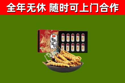 永州回收冬虫夏草价格